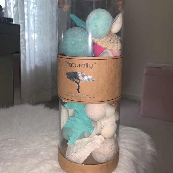 Seashells - Picture 2 of 4